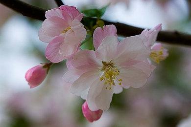 AMD FSR 2.0插件已适用于虚幻引擎4＆5 加速游戏采纳新技术